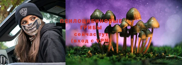 прущие грибы Алексин